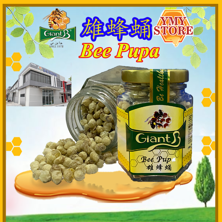 Giant B, Bee Pupa 雄蜂蛹 Health Supplement. 25gm YMY Store