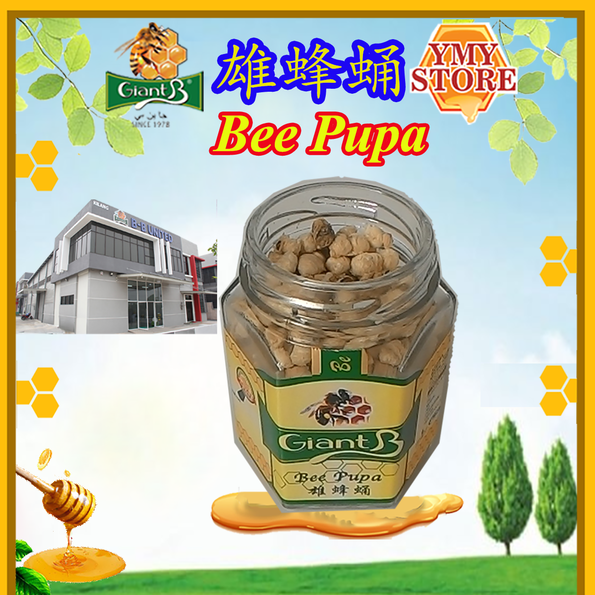 Giant B, Bee Pupa 雄蜂蛹 Health Supplement. 25gm YMY Store